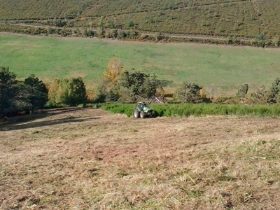 Desbrozando en una parcela