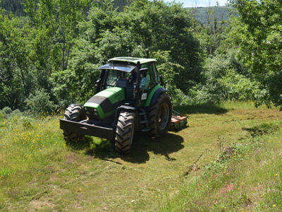 Trabajo de desbroce en camping